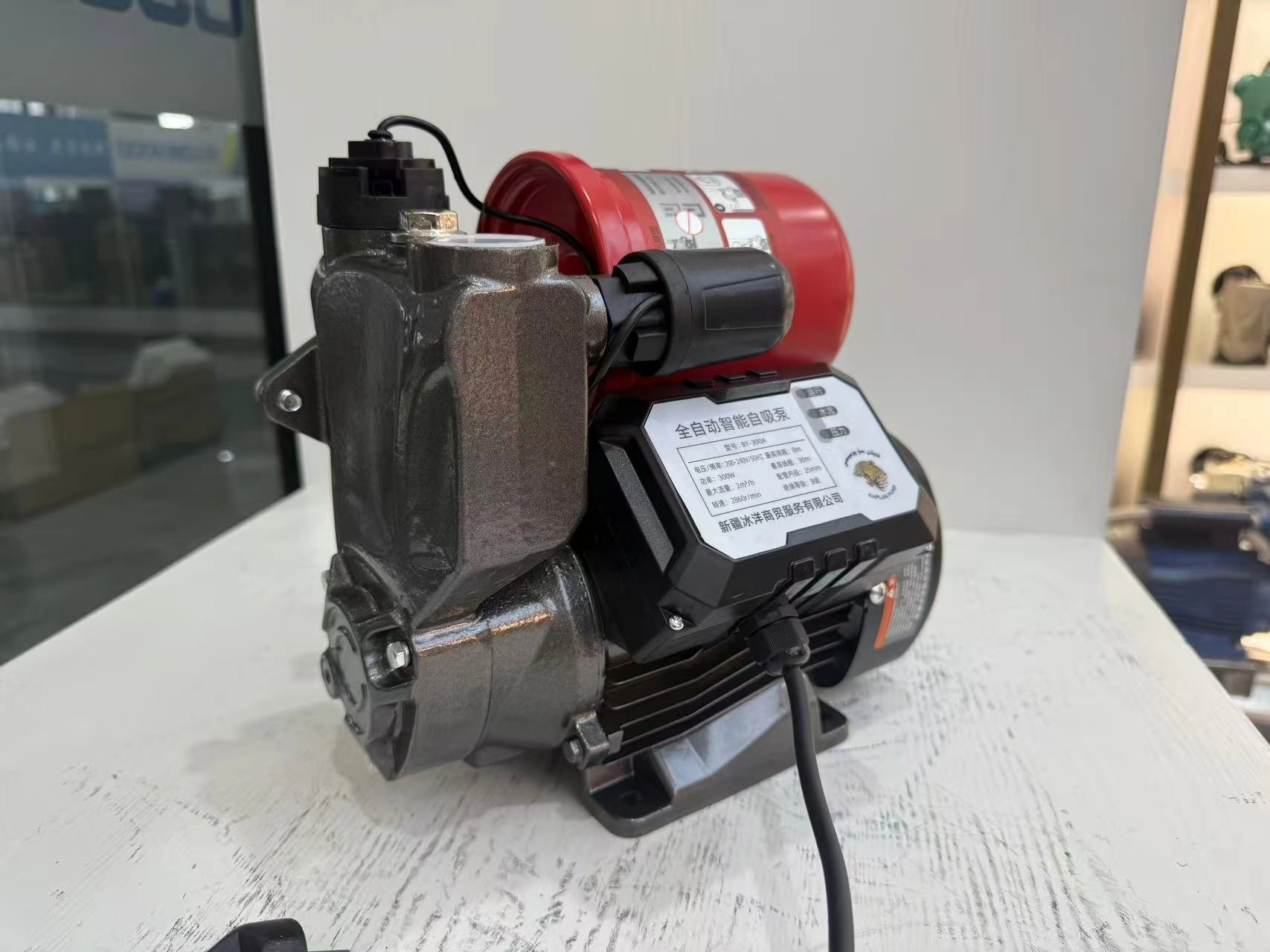 Automatische Wasserpumpe
